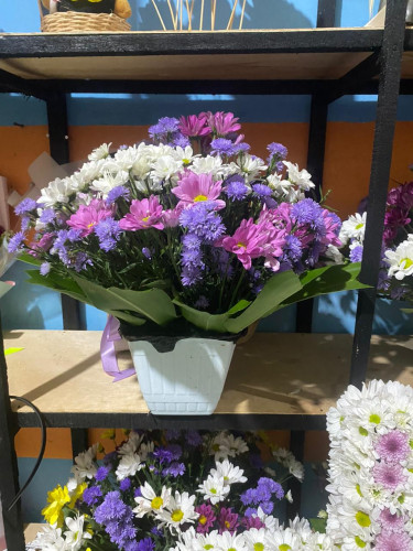 Toko Bunga Terbesar King Florist panjehang – Pilihan Utama Florist Profesional di Kalimantan Teng