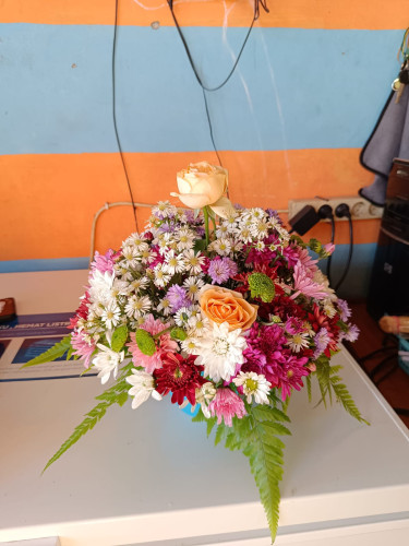 Bunga Meja panjehang
